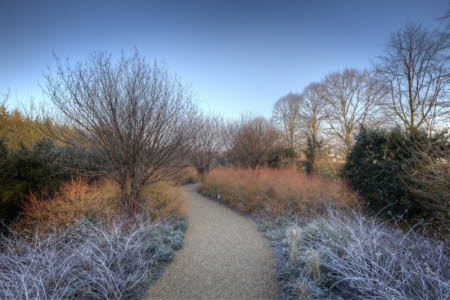 The Winter Walk in February at Anglesey Abbey in Cambridgeshire.